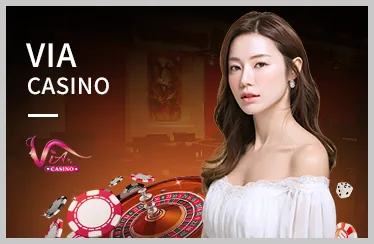 Chương trình VIP độc quyền 88cc